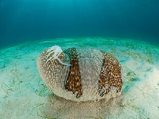 麦德龙（青岛四方商场店）