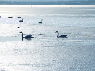 威克鲁国家公园
