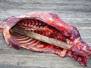 青藏土特产大全