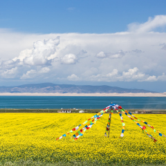 青海湖