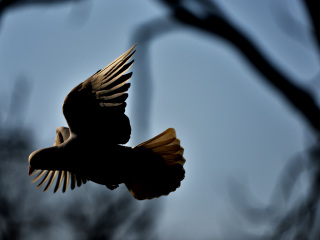 红山动物园地铁站