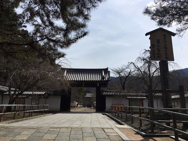 3月关西悠然の旅 (大阪京都奈良8日自由行)_大