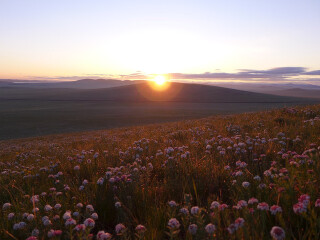 哈拉盖图农牧场