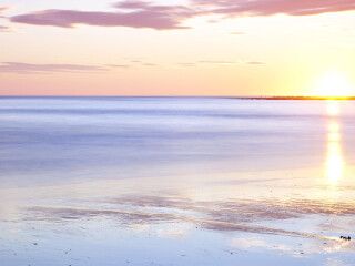 三鹰森（宫崎峻）博物馆