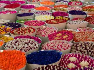 岔街1号花卉市场