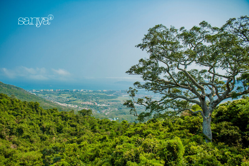 海边微风起,等风也等你 | 带着闺蜜去三亚吹吹北纬18度的风_三亚游记_