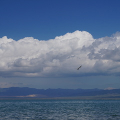 青海湖1
