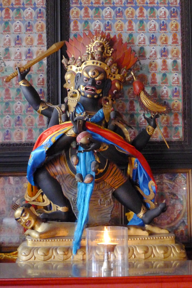 供大威德怖畏金刚,他是藏传佛教密宗无上瑜伽部的本尊,又名"牛头明王"