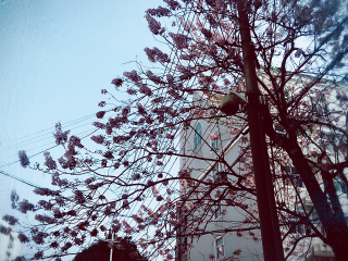 南京夫子庙大成殿