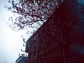 南京民俗博物馆