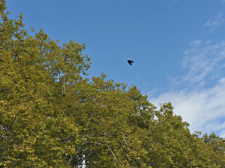 安纳西皇家公园