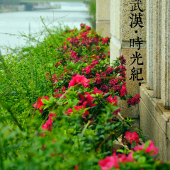 DSC04311