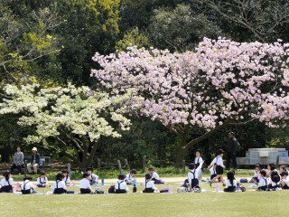 京都府立植物园