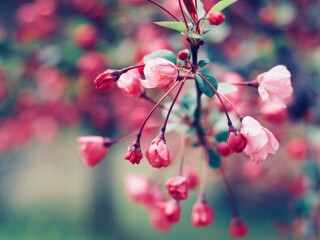 顾村公园地铁站