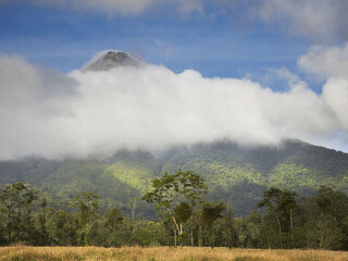 蒙特维多云雾森林