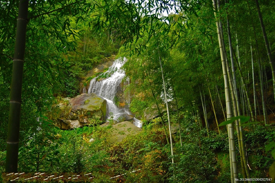 山沟沟·竹林泉水