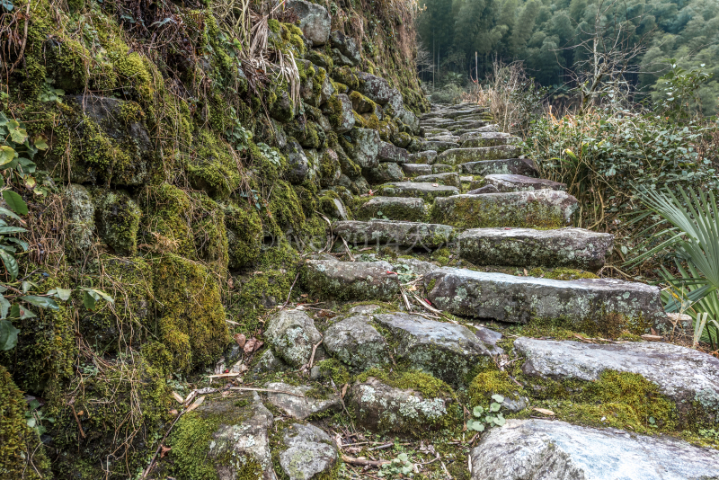 人文山水荟萃,浙南大美龙泉.