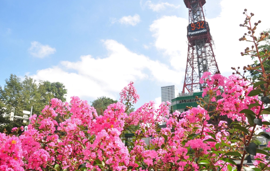大通公园攻略 大通公园门票价格 大通公园地址 途牛移动站