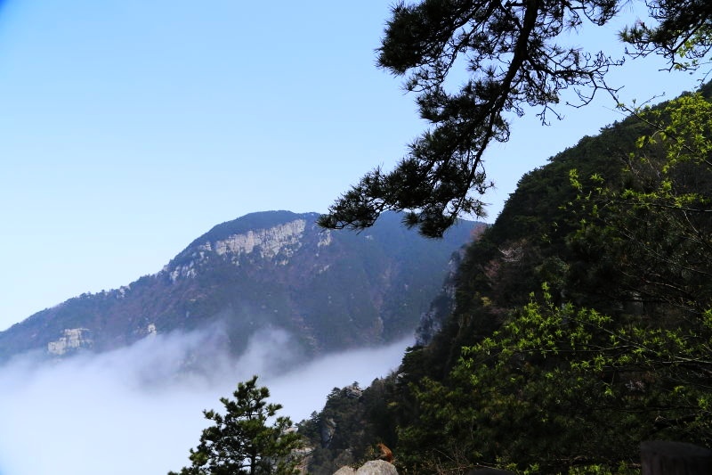 【发现】初春的庐山 淡雅而宁静