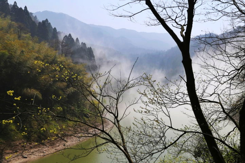 【發現】初春的廬山 淡雅而寧靜