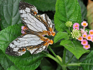 名护自然动植物公园