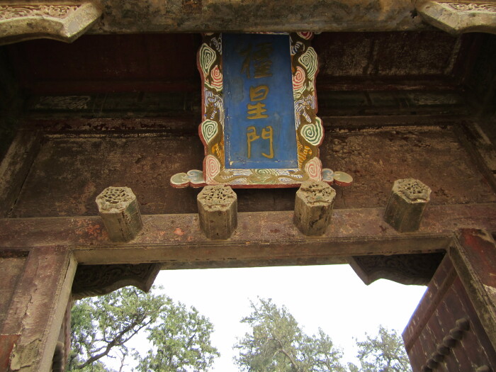 我们都快出门了,才陆续来了些游客.