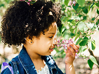 米瑞加瓦拉植物园