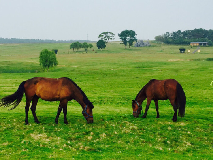 策马木兰草原,一起逐梦天际