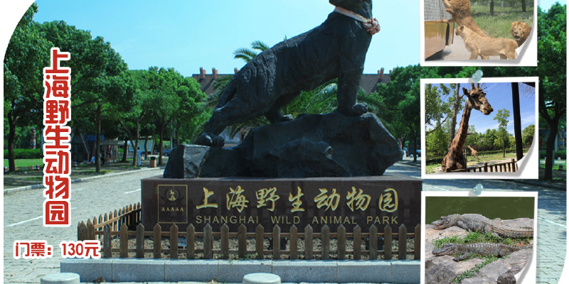 产品图1