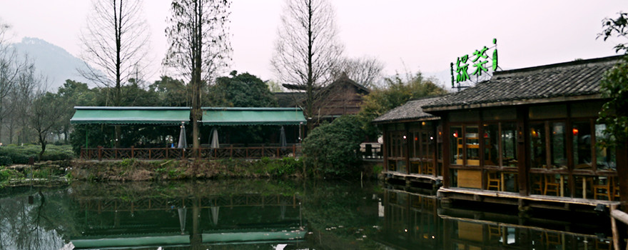 綠茶餐廳龍井路店