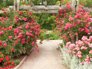 加拿大皇家植物园