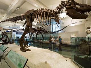 历史自然科学馆 Historical Museum of Natural Science