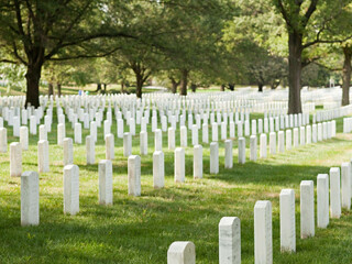 阿灵顿国家公墓