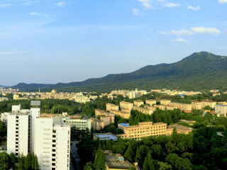 南京林业大学