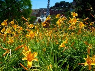 休塔德里亚公园