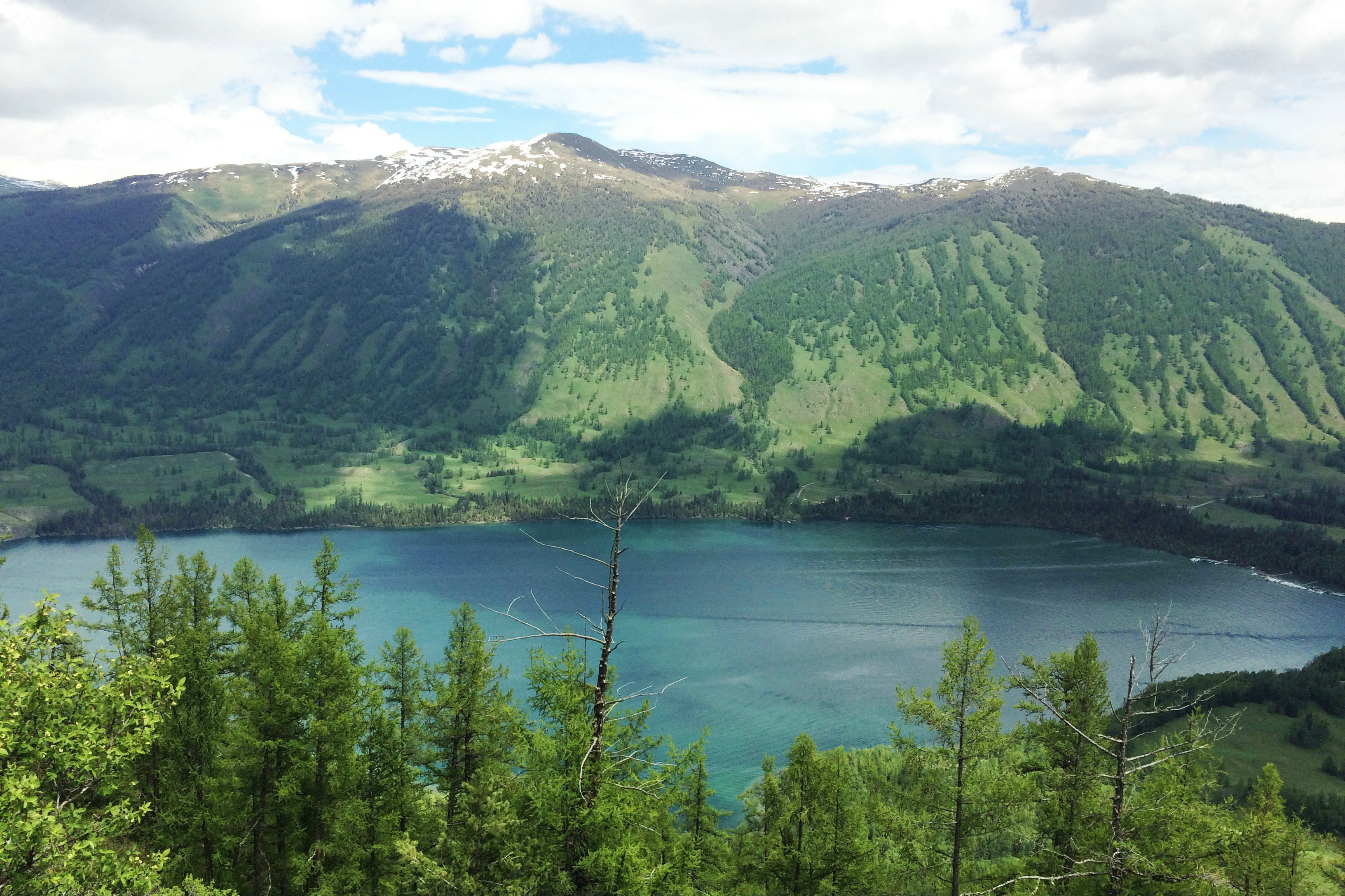 六月北疆好风光