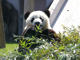 和歌山冒险世界
