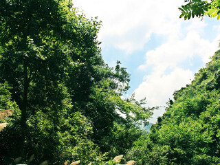 乌龙山大峡谷