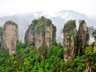 鲢鱼洞