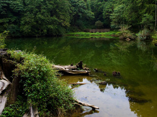 苍南玉苍山国家森林公园