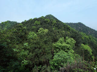 圣灯山森林公园