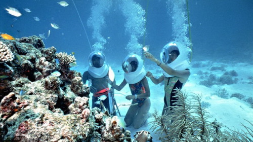 珊瑚岛 海底漫步