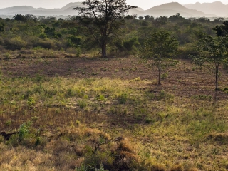 代希瓦勒-芒特拉维尼亚