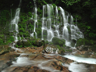 贝马拉哈国家公园
