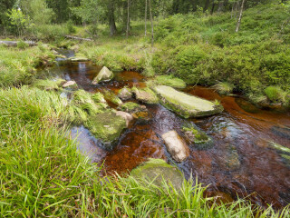 萨克森瑞士国家公园