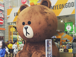 Line Friends（明洞旗舰店）