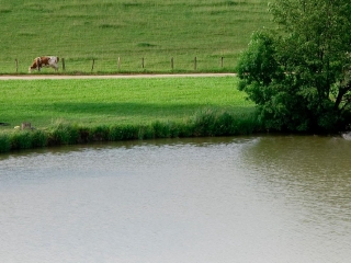 拉泰斯特德比什