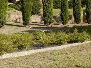 安圭拉腊萨巴齐亚