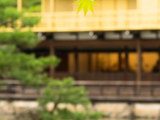 木津川