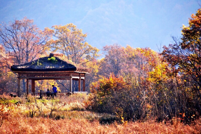 应是水墨画中景,沧海遗珠落人间——大九湖幻境